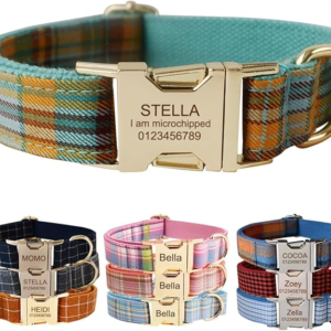 Custom Dog Collar w/ Metal Buckle