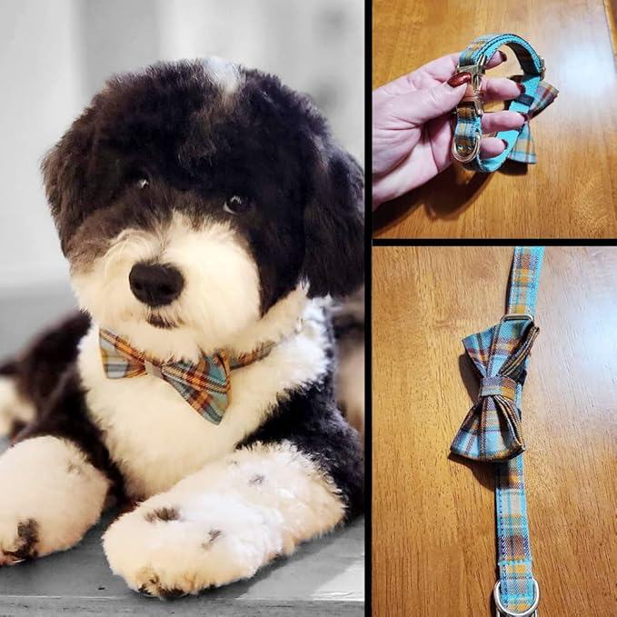 Custom Dog Collar w/ Metal Buckle - Image 5