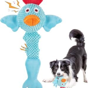 Medium Squeaky Chicken