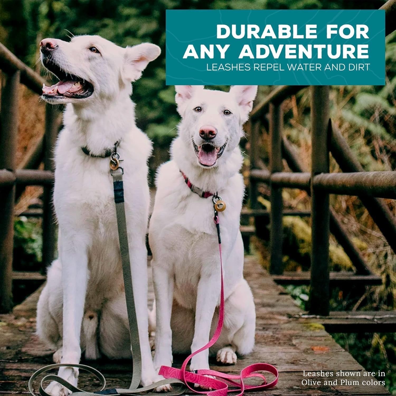 Wilderdog Waterproof Dog Leash - Image 4