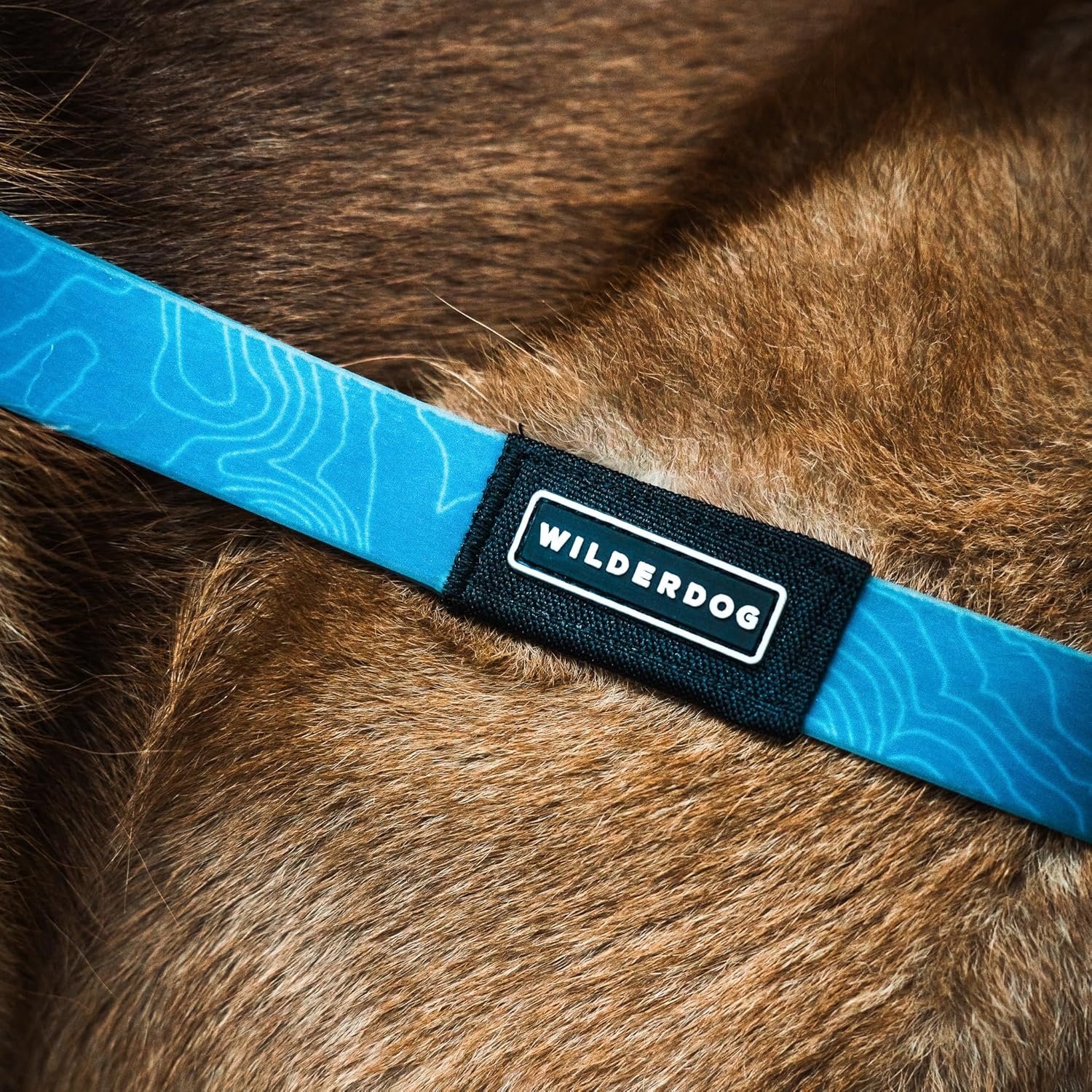 Wilderdog Waterproof Dog Leash - Image 7