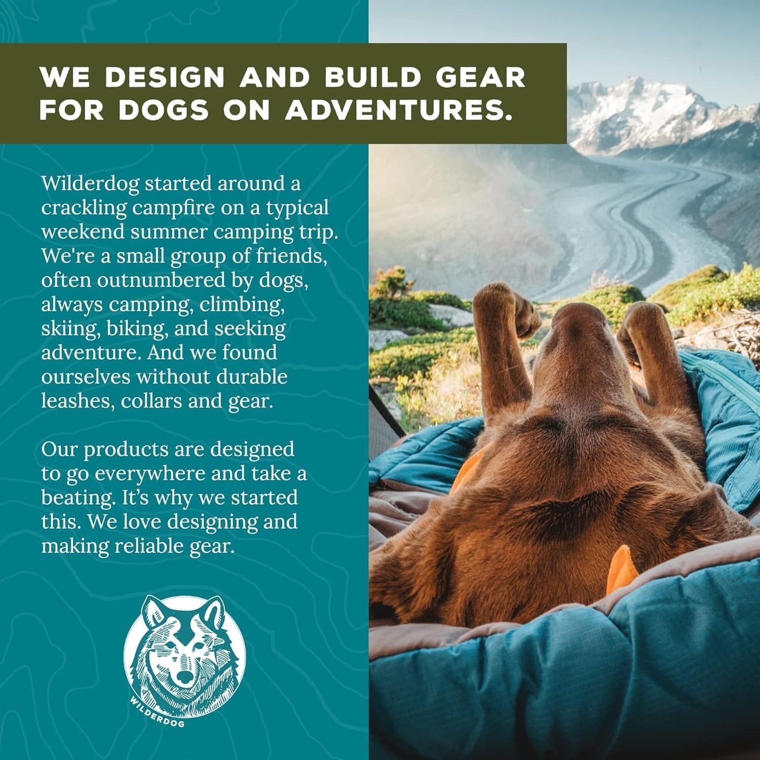 Wilderdog Waterproof Dog Leash - Image 8