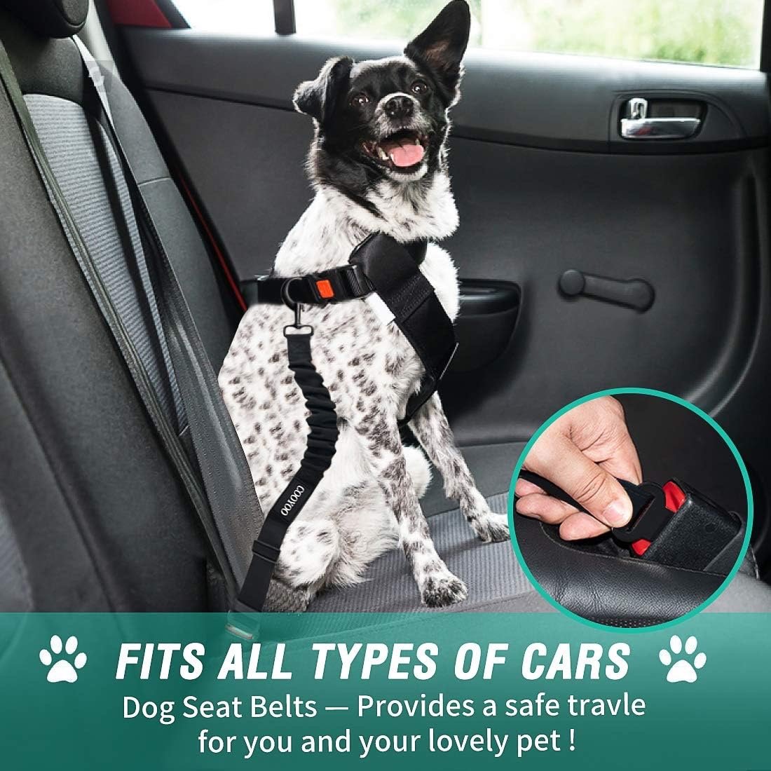COOYOO Dog Seat Belt - Image 3